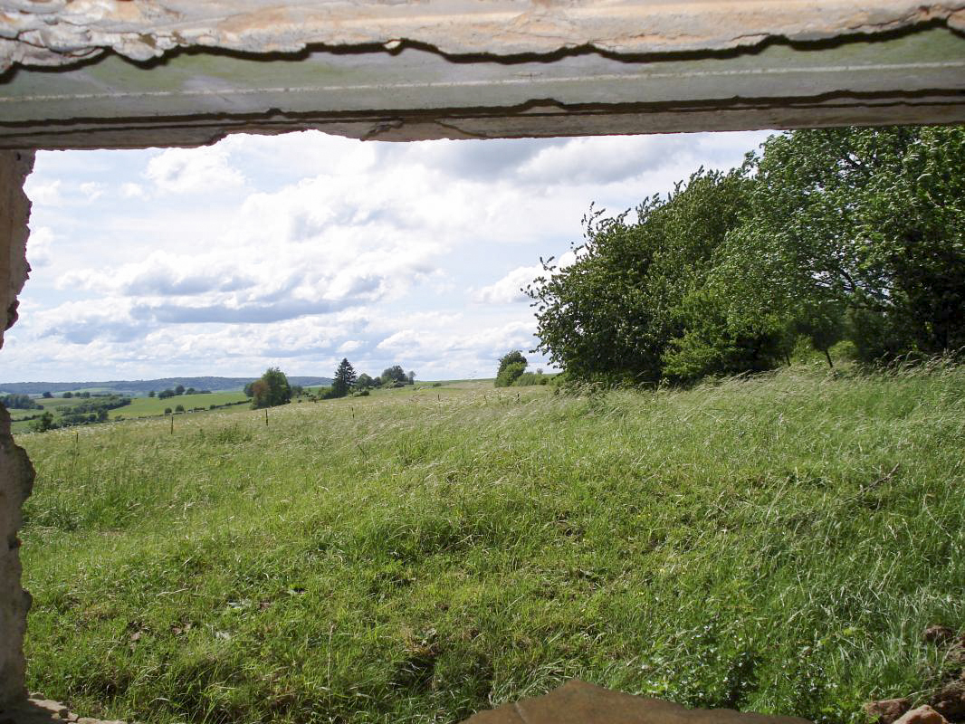 Ligne Maginot - SAINT WALFROY EST - (Blockhaus pour canon) - Vue du créneau AC - R Tucker