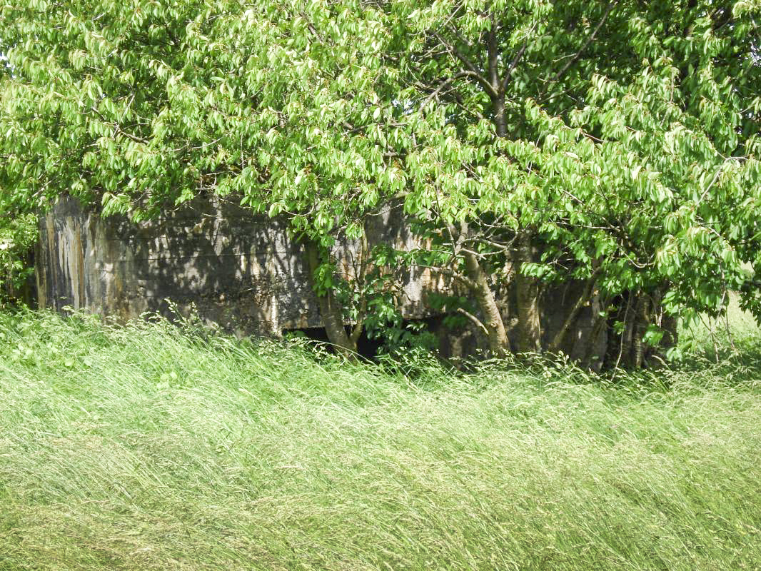 Ligne Maginot - SAINT WALFROY OUEST - (Blockhaus pour canon) - L'entrée pour le canon AC