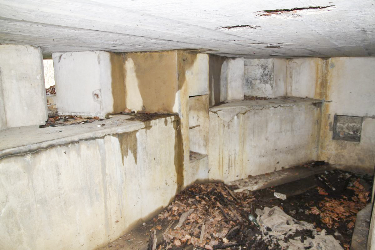 Ligne Maginot - BUCHWALD NORD - (Blockhaus pour arme infanterie) - La chambre de tir - Alain Perouffe