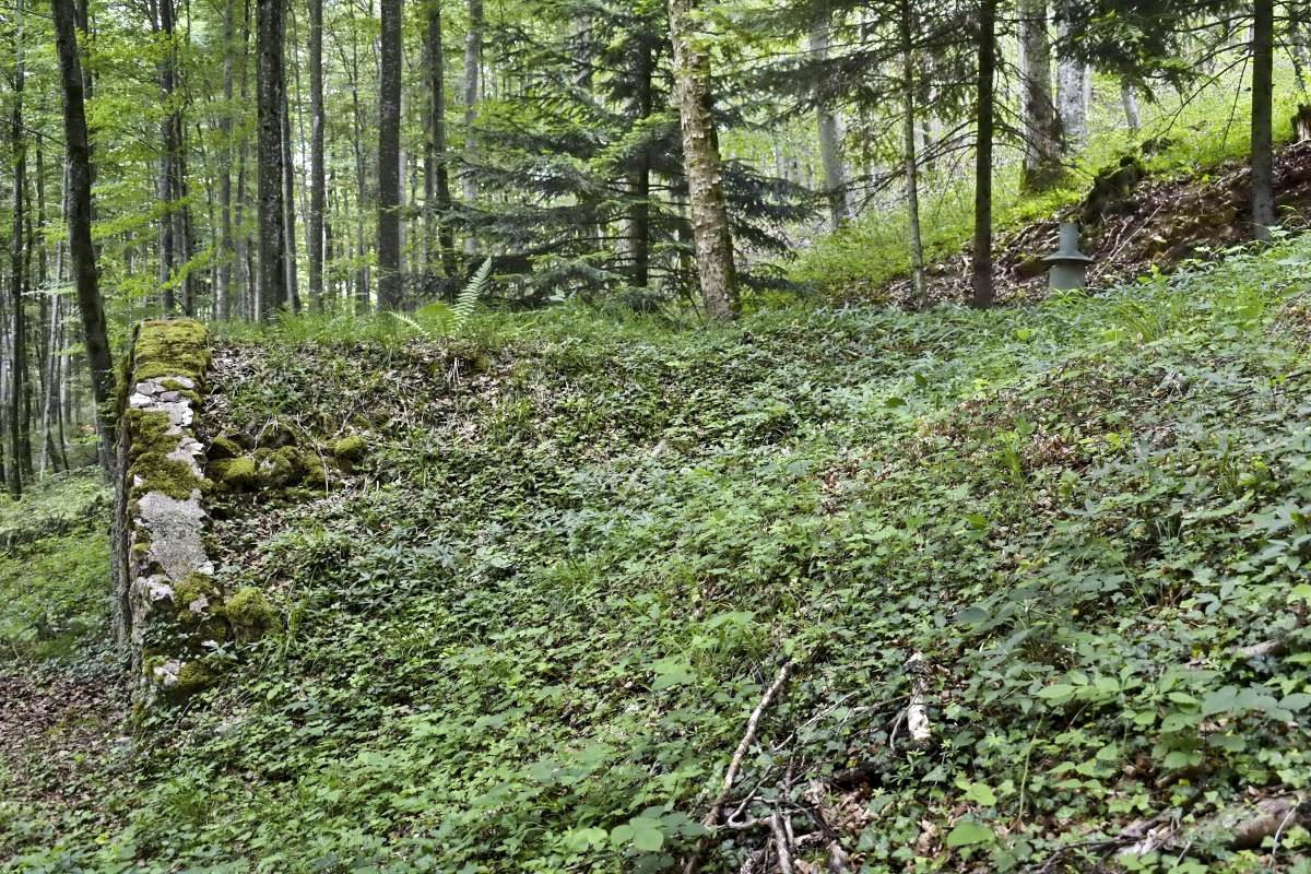 Ligne Maginot - CHARRIERE 4 - (Abri) -  - D. Froehly