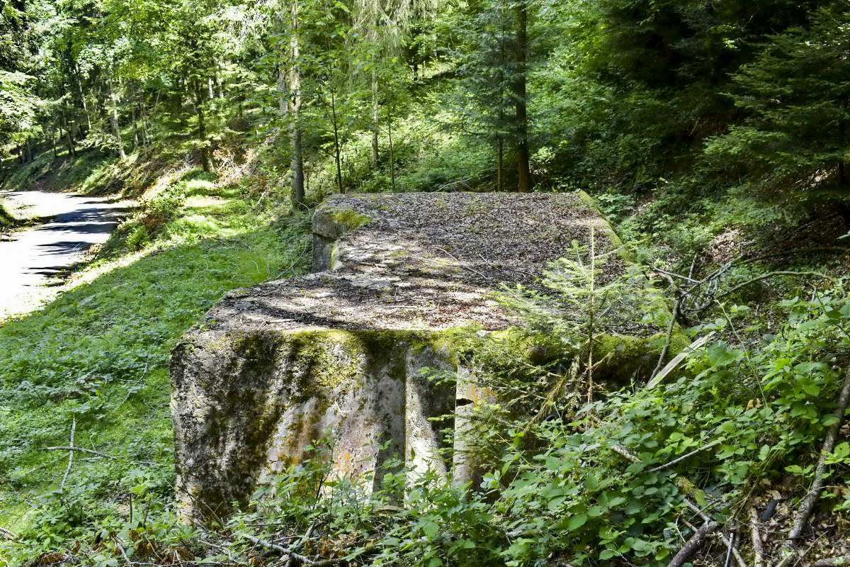 Ligne Maginot - CHARRIERE 1 (SOUS-QUARTIER OUEST) - (PC de Sous-Quartier) - Vue de haut