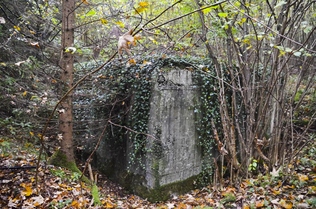 Ligne Maginot - COL DE NEUNEICH - (Abri) - Vue coté nord