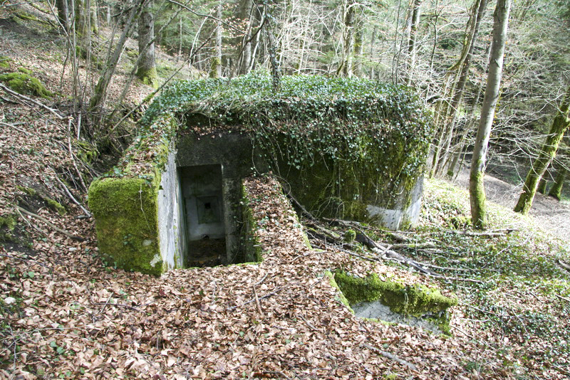 Ligne Maginot - GEBIRGMATTEN NORD - (Blockhaus pour arme infanterie) -  - Alain Perouffe