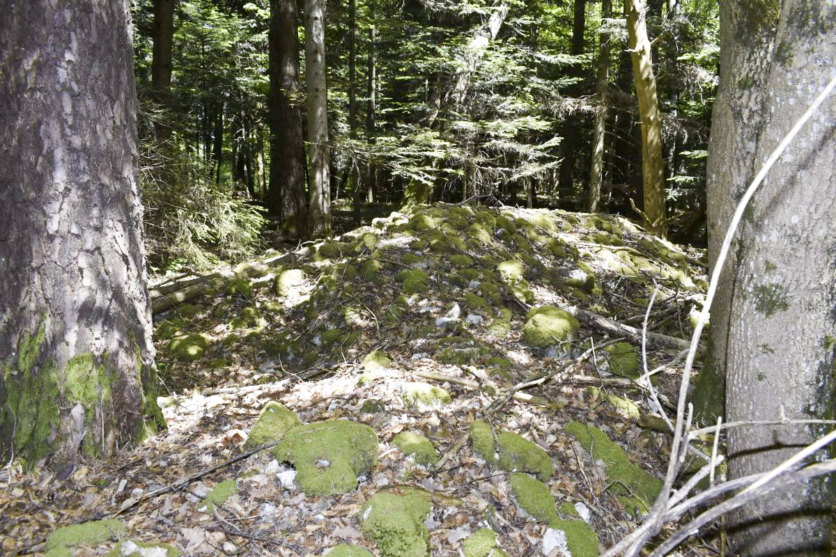 Ligne Maginot - GLASERBERG EST - (Position d'artillerie préparée) - Monticule de pierre, destiné à encadrer la position d'un mortier