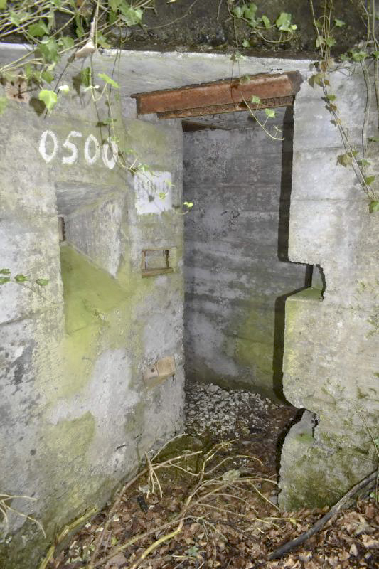 Ligne Maginot - GRAND KOHLBERG - (Abri) - Entrée ouest - D.Froehly