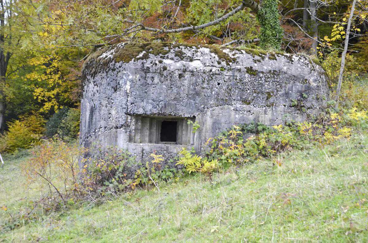 Ligne Maginot - GRAND KOHLBERG NORD - (Blockhaus pour arme infanterie) - Vue sur le créneau mitrailleuse
