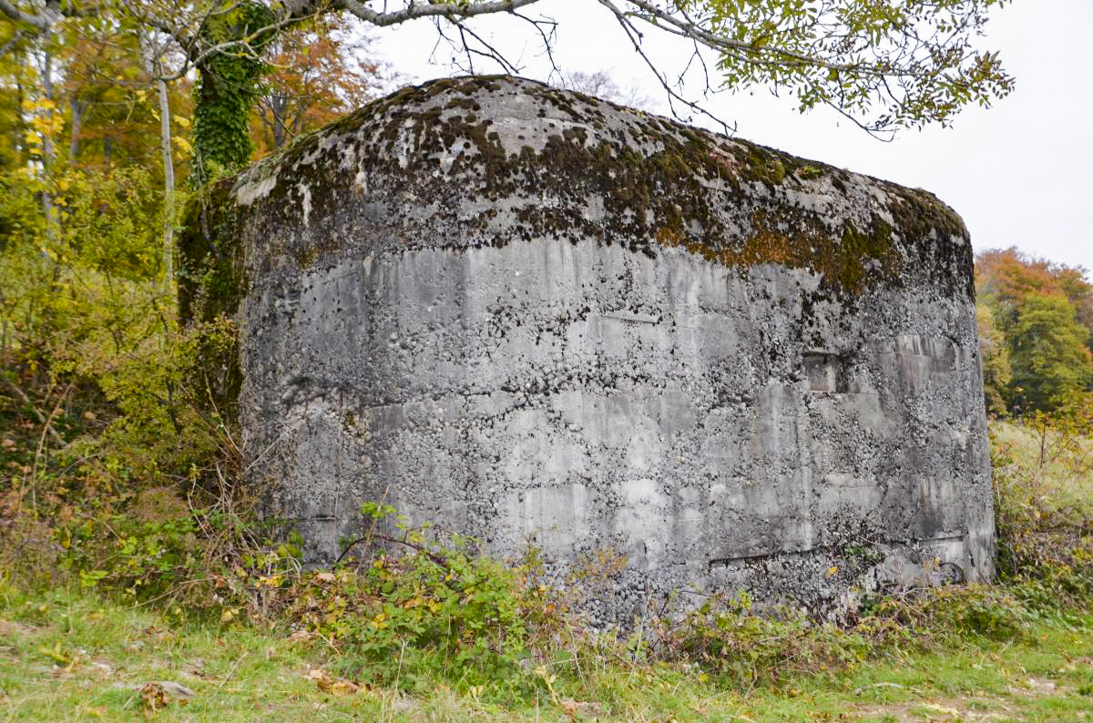 Ligne Maginot - GRAND KOHLBERG NORD - (Blockhaus pour arme infanterie) - Vue coté sud, sur le créneau fusil.