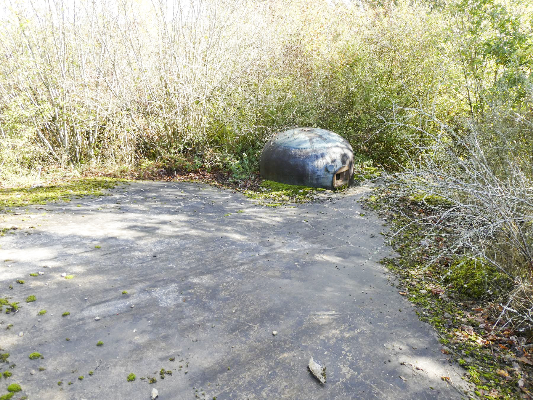 Ligne Maginot - LE CHESNOIS - CHENOIS - (Ouvrage d'artillerie) - Bloc 1
Cloche GFM 1