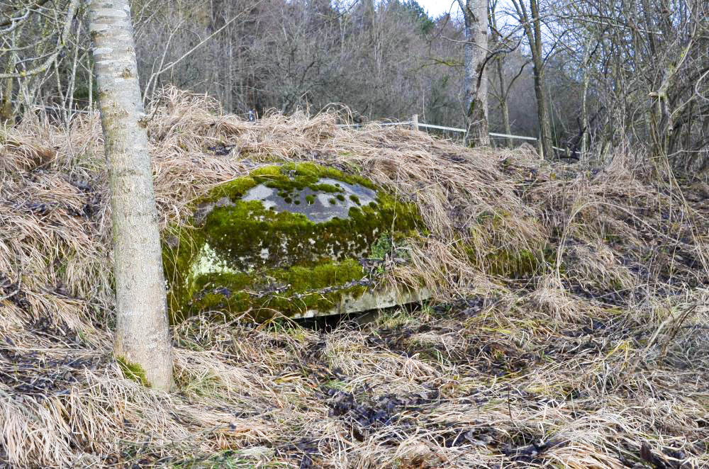 Ligne Maginot - HUTTINGUE OUEST 1 - (Blockhaus pour arme infanterie) - Vue de la coupole 7ème région