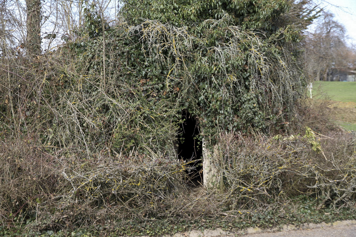 Ligne Maginot - NEUEHAEUSER (PC GUERRE DU III/171° RIF) - (PC de Quartier) - Abri à 1 alvéole