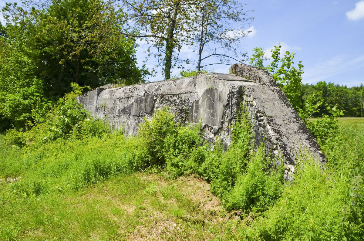 Ligne Maginot - PFAFFENLOCH NORD EST - (Blockhaus pour arme infanterie) - 