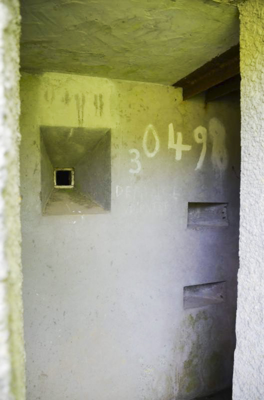 Ligne Maginot - PFAFFENLOCH NORD EST - (Blockhaus pour arme infanterie) -  - D Froehly