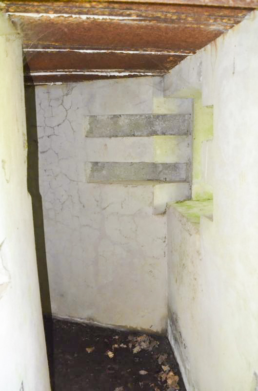 Ligne Maginot - PFAFFENLOCH NORD EST - (Blockhaus pour arme infanterie) -  - D Froehly