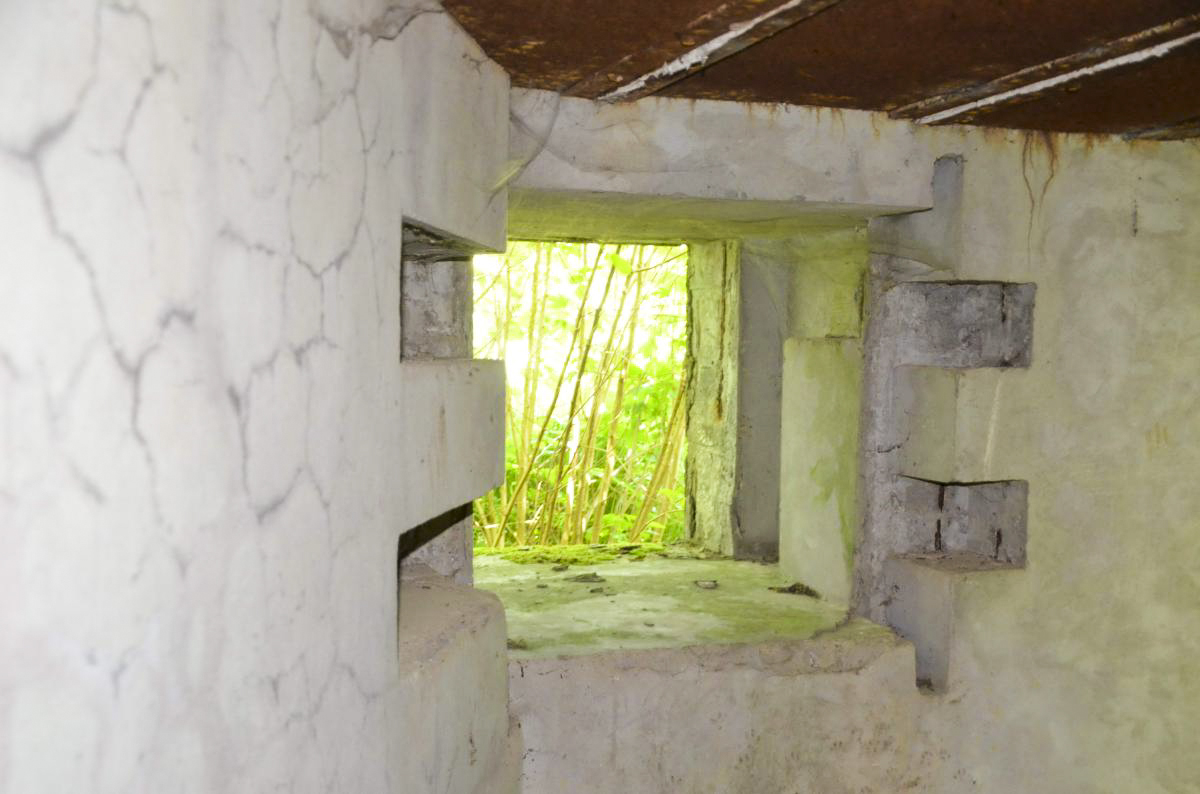 Ligne Maginot - PFAFFENLOCH NORD EST - (Blockhaus pour arme infanterie) - 