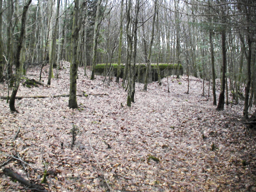 Ligne Maginot - Vue générale - L’abri PC se trouve dans le bois - Félix Dr. Dimitric