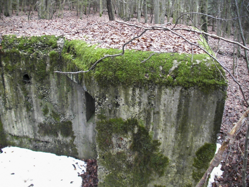 Ligne Maginot - Vue de dessus de l'entrée sud - Le béton fait 50 cm d’épaisseur en moyenne pour ce type de construction. - Félix Dr. Dimitric