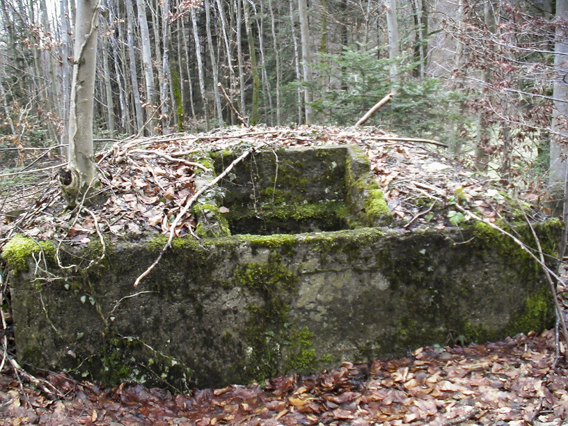 Ligne Maginot - PFAFFENLOCH - RéSERVOIR D'EAU - (Divers) - C'est par cette trappe de visite qu'on remplissait la citerne. De l'autre coté se trouve la vanne, sur la gauche à environ 300 mètres se trouve l’abri PC du Pfaffenloch.