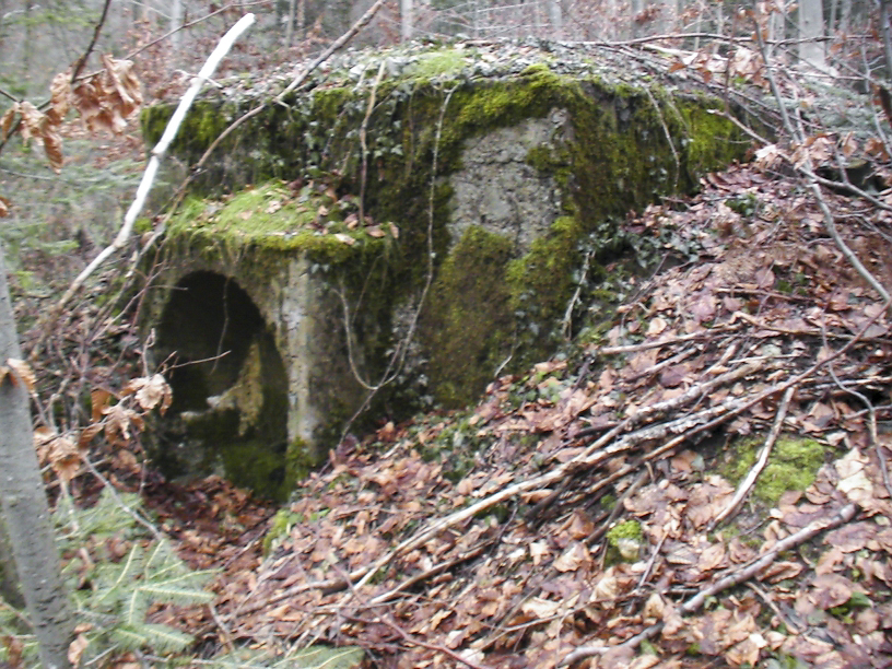 Ligne Maginot - PFAFFENLOCH - RéSERVOIR D'EAU - (Divers) - Vue coté service
La photo est prise en direction du nord-ouest, c'est a dire vers Winkel qui comporte sur la route qui y mène le PC-Abris de la charrière et ses 4 abris en tôle métro pour troupes. Notez que Winkel est la commune ou la rivière L'ILL qui traverse tout l'Alsace prend sa source.