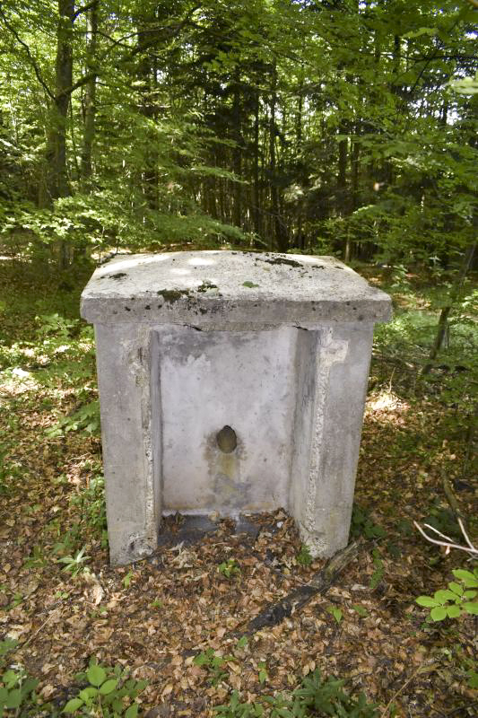 Ligne Maginot - STELLENBERG - (Chambre de coupure) - 