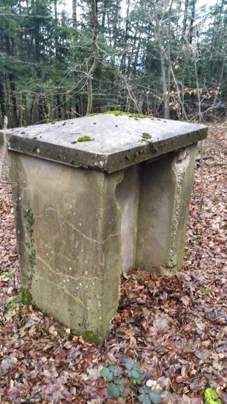Ligne Maginot - STELLENBERG - (Chambre de coupure) -  - Félix Dimitric