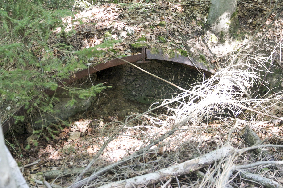 Ligne Maginot - STEINER EST - (Abri) - 