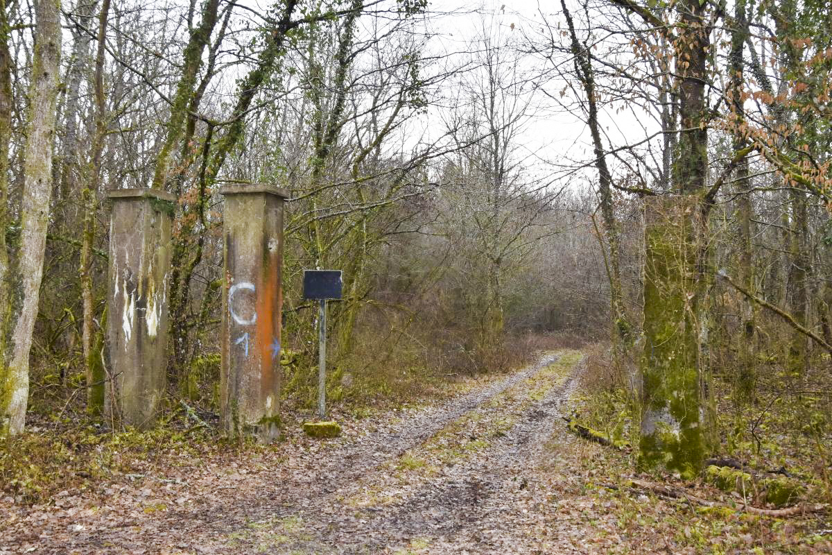 Ligne Maginot - REININGUE - DéPôT ARRIèRE - (Dépôt de Munitions) - Portail - Daniel Froehly
