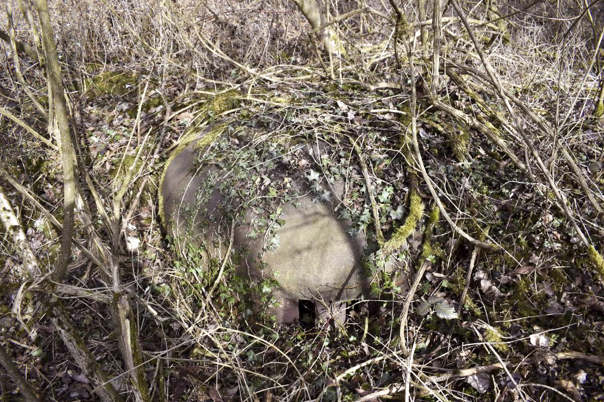 Ligne Maginot - 7/1 - PONT RAIL DE CHALAMPE SUD - (Abri) - Cloche - D. Froehly