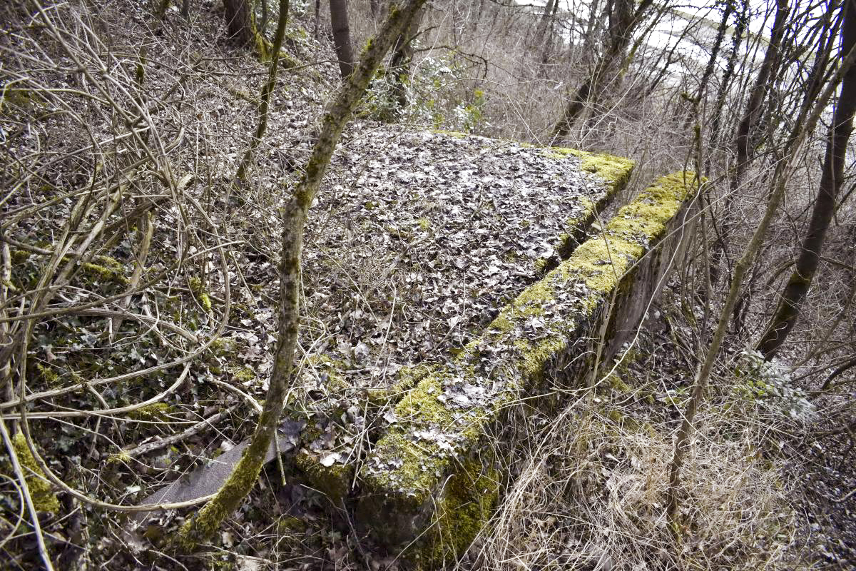 Ligne Maginot - 7/1 - PONT RAIL DE CHALAMPE SUD - (Abri) - Plaque de béton qui pouvait être le toit d'un abri sommaire