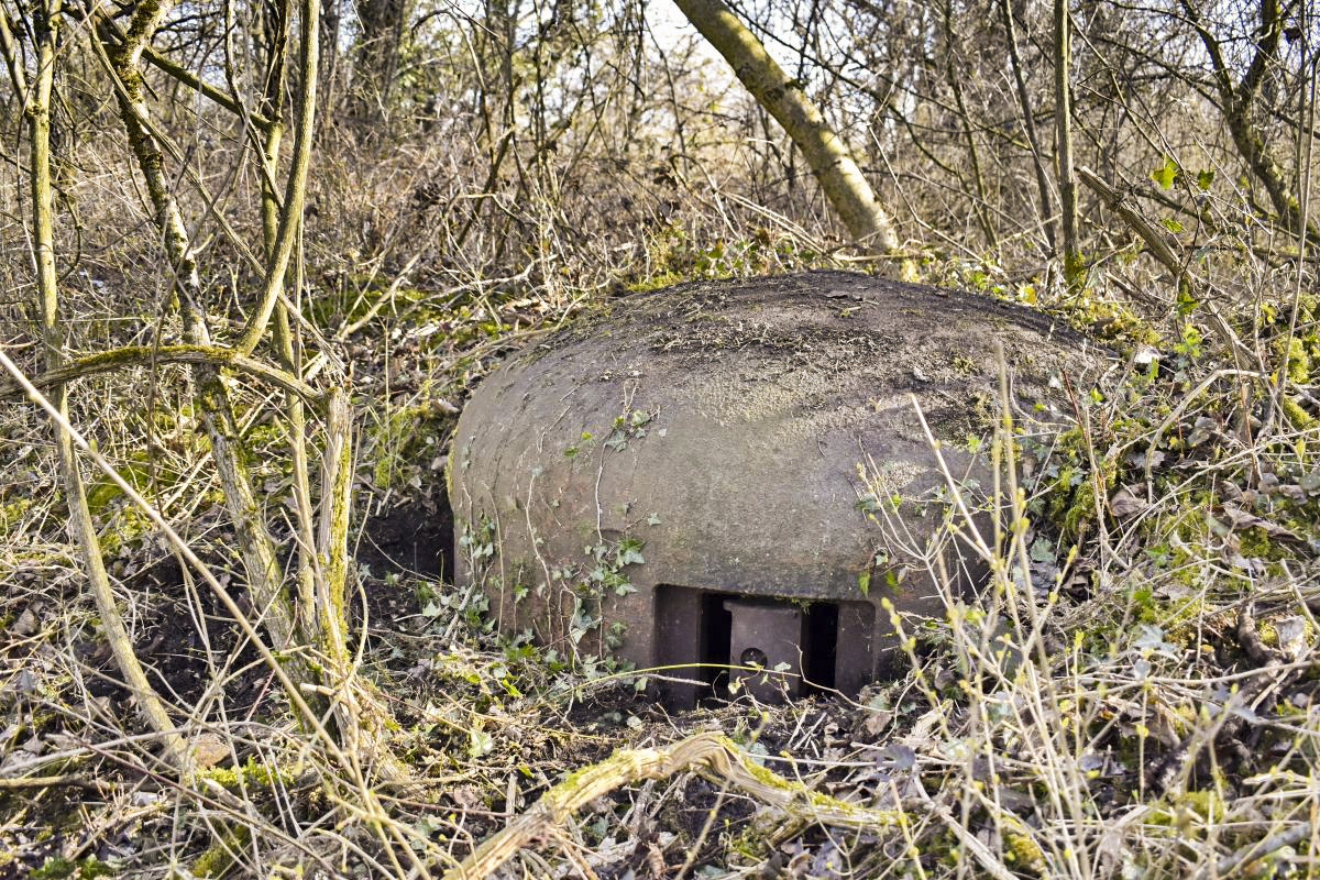 Ligne Maginot - 7/1 - PONT RAIL DE CHALAMPE SUD - (Abri) - Cloche vue de face