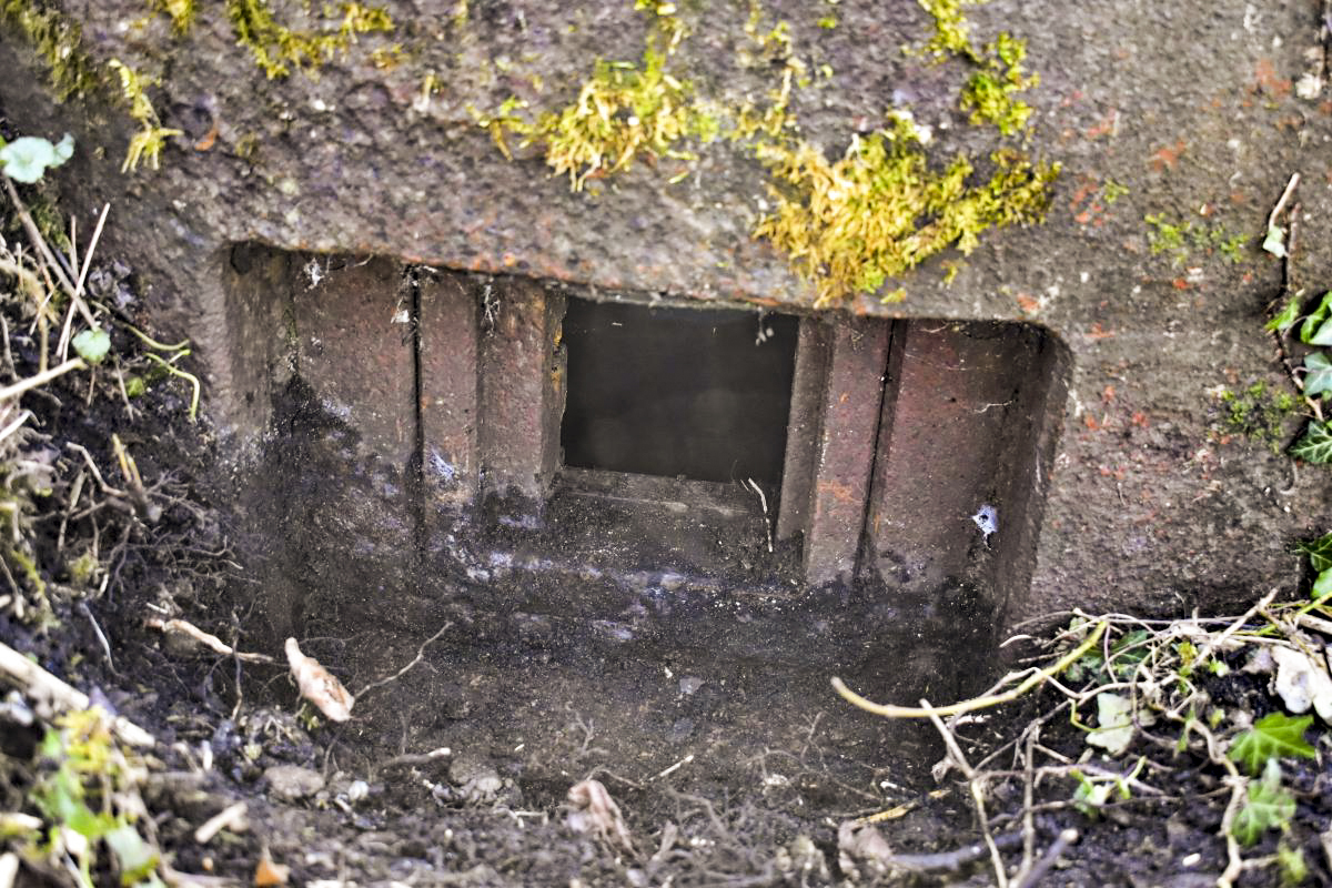 Ligne Maginot - 7/1 - PONT RAIL DE CHALAMPE SUD - (Abri) - Cloche
Créneau de gauche - D. Froehly