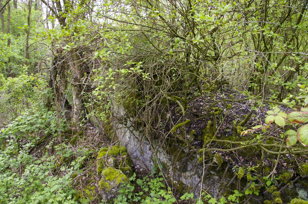 Ligne Maginot - 6/1 - CHALAMPE BERGE SUD - (Casemate d'infanterie - Double) - Un des murs restant
Casemate détruite - Un pan de murs restant