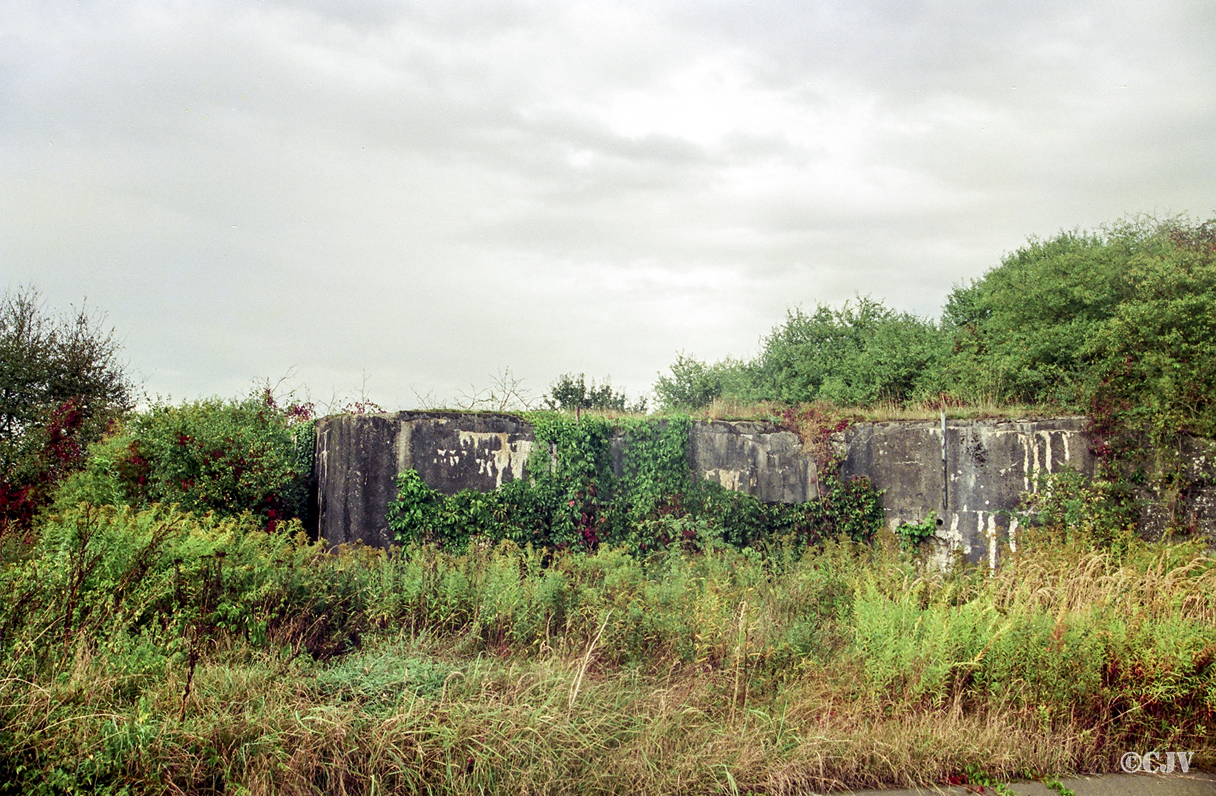 Ligne Maginot - 61/3 - OTTMARSHEIM SUD - (Casemate d'infanterie - Double) - 