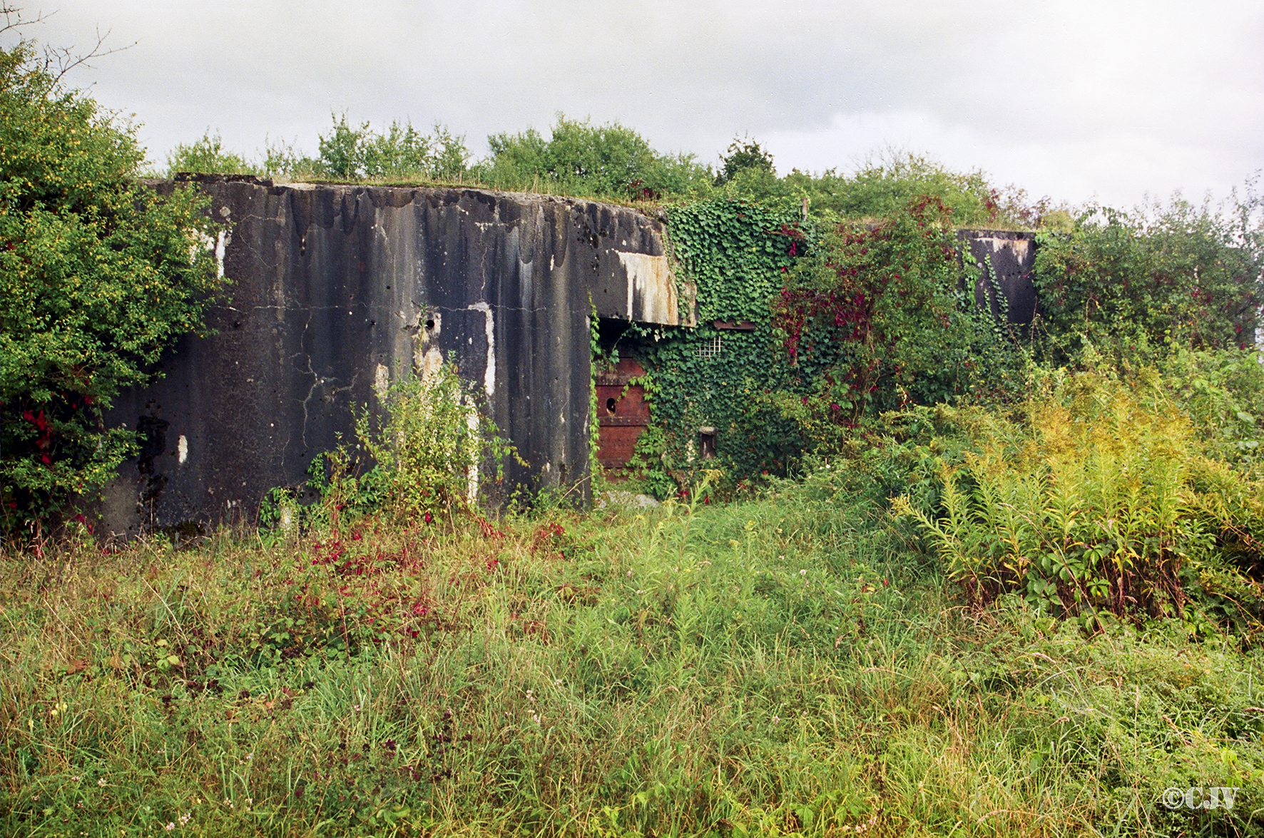Ligne Maginot - 61/3 - OTTMARSHEIM SUD - (Casemate d'infanterie - Double) - 