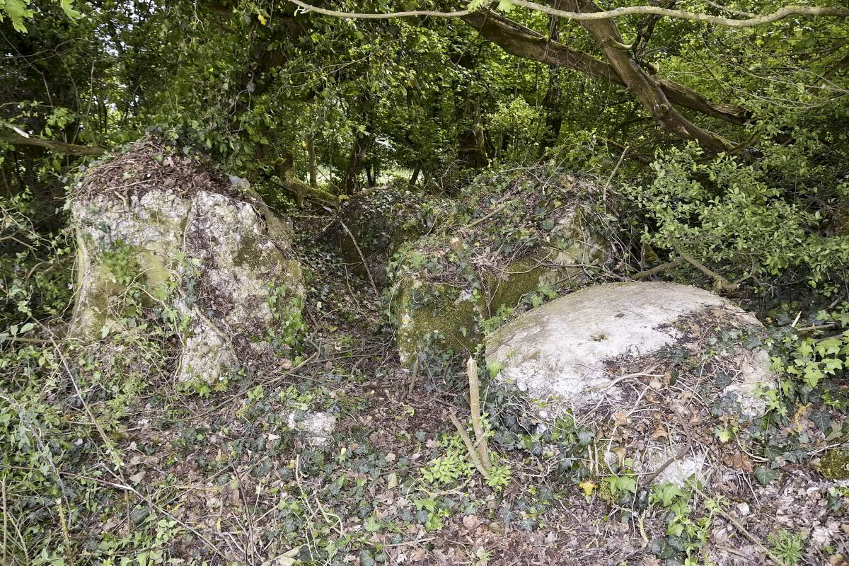Ligne Maginot - BLODELSHEIM OUEST 1 - (Blockhaus pour arme infanterie) - Reste de la coupole