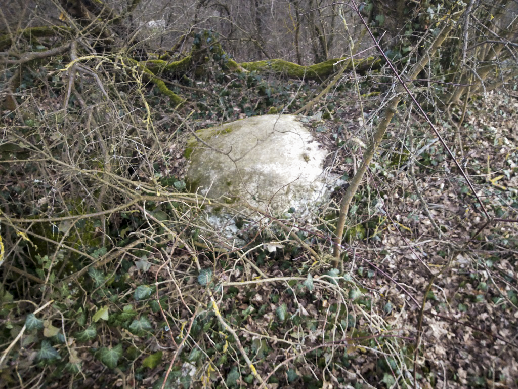 Ligne Maginot - BLODELSHEIM OUEST 1 - (Blockhaus pour arme infanterie) - Vue extérieure