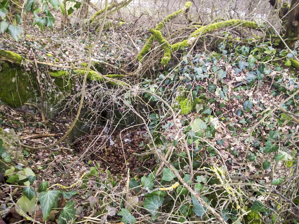Ligne Maginot - BLODELSHEIM OUEST 1 - (Blockhaus pour arme infanterie) - Vue extérieure