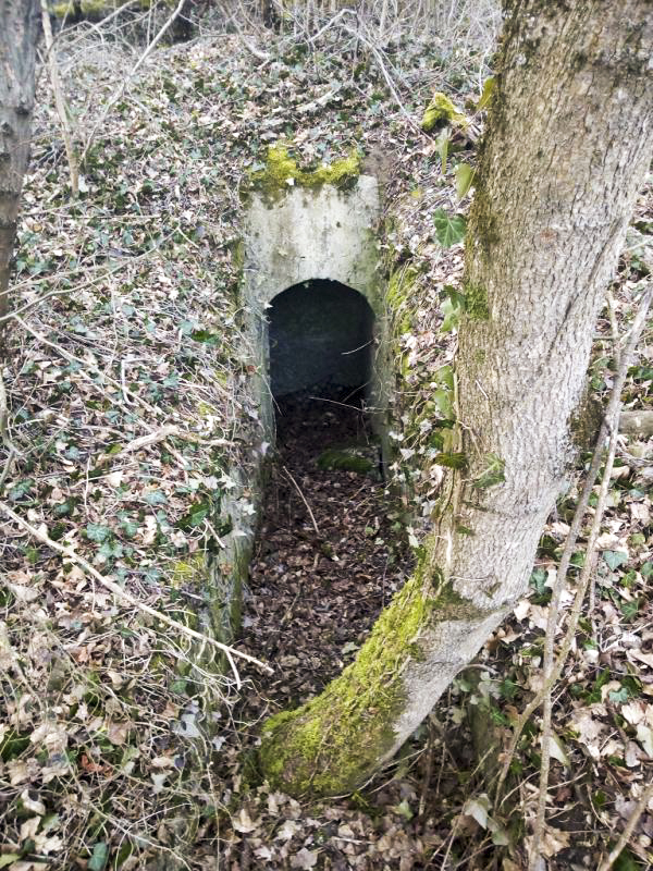 Ligne Maginot - BLODELSHEIM OUEST 1 - (Blockhaus pour arme infanterie) - Vue extérieure