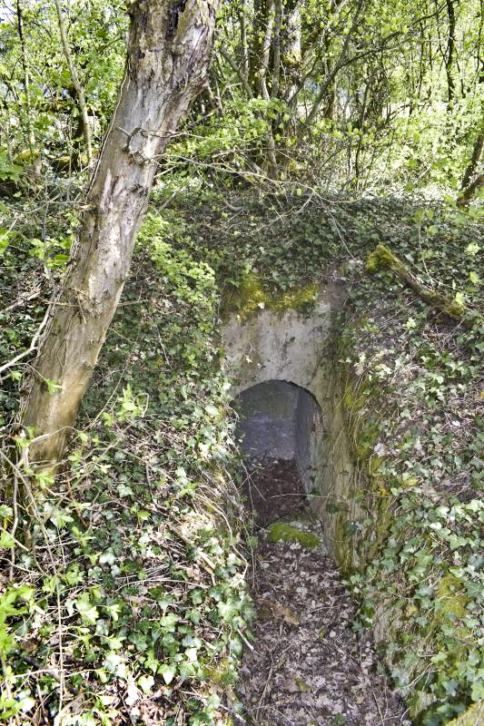 Ligne Maginot - BLODELSHEIM OUEST 1 - (Blockhaus pour arme infanterie) - Entrée sud, ouverture vers l'ouest