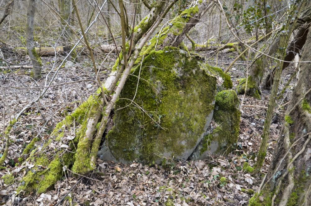 Ligne Maginot - BATTENHEIM ECLUSE 44 SUD - (Cuve pour arme d'infanterie) - 