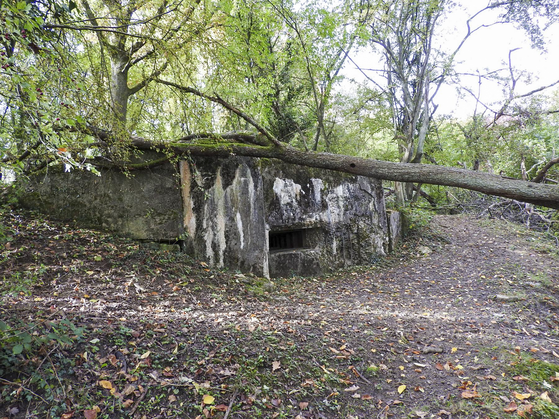 Ligne Maginot - WELSCHBRUCH NORD 2 - (Blockhaus pour arme infanterie) - 