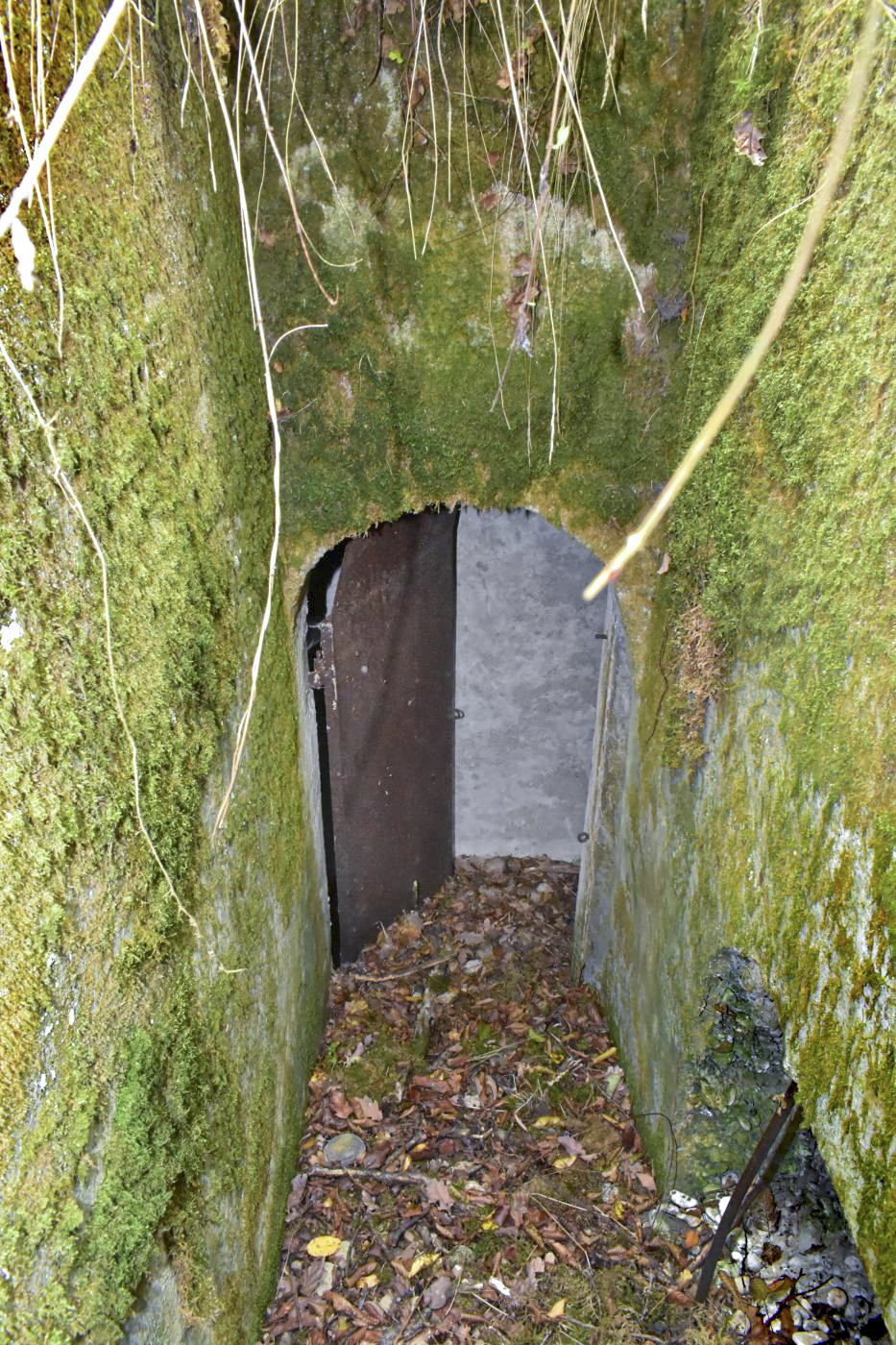 Ligne Maginot - CARREFOUR 224 EST - (Abri) - Entrée Sud