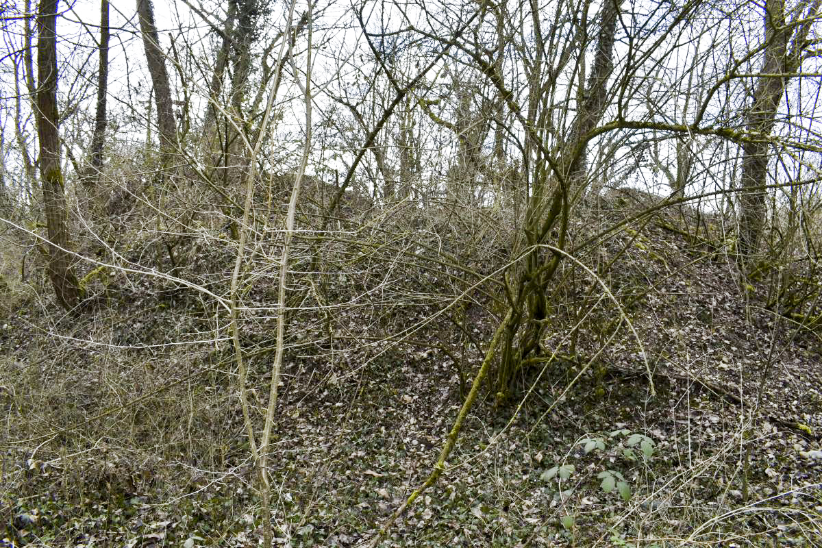 Ligne Maginot - CHALAMPE SUD 2 - (Blockhaus de type indéterminé) - 