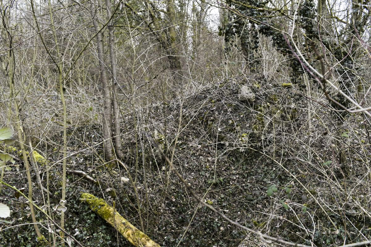 Ligne Maginot - CHALAMPE SUD 2 - (Blockhaus de type indéterminé) - 