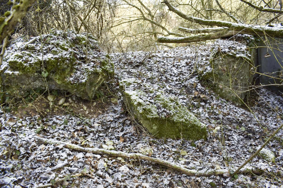 Ligne Maginot - ECLUSE 46 NORD - (Blockhaus de type indéterminé) - 