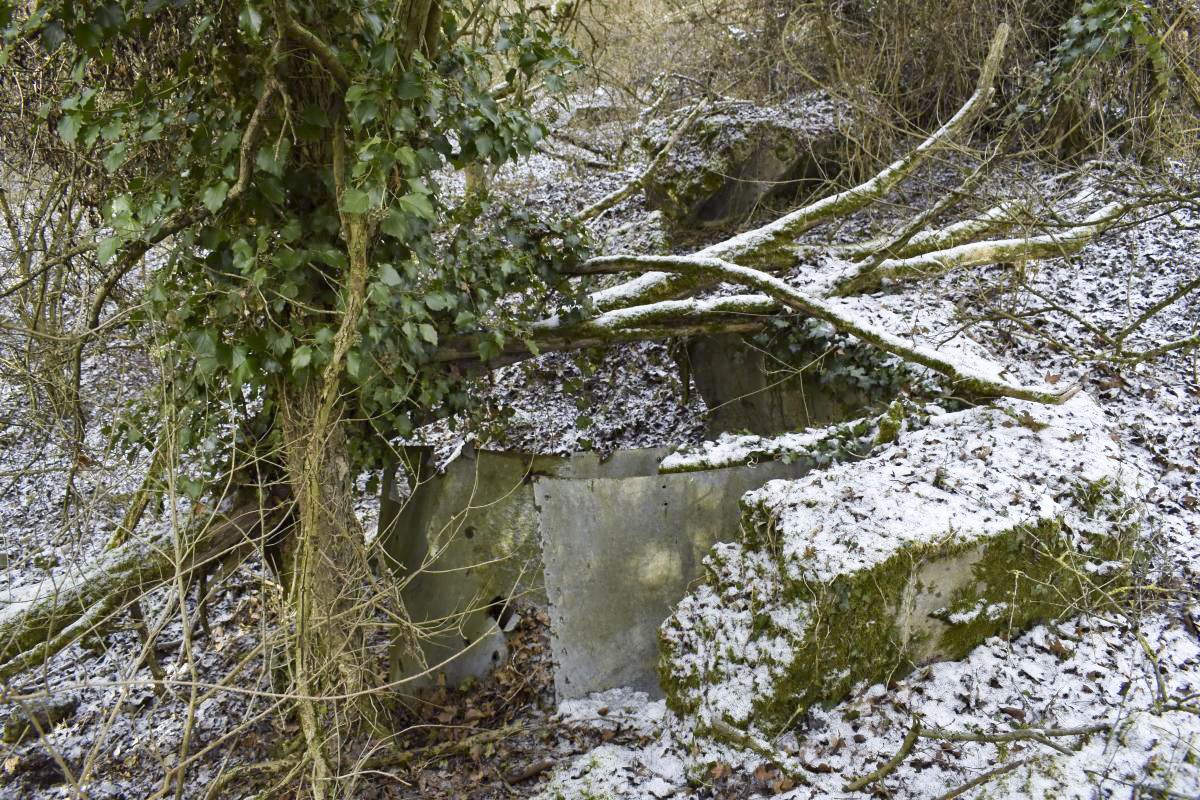 Ligne Maginot - ECLUSE 46 NORD - (Blockhaus de type indéterminé) -  - D. Froehly