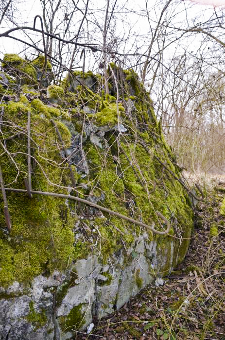 Ligne Maginot - G39 - RUMERSHEIM LE HAUT BERGE 3 - (Blockhaus pour arme infanterie) - Façade coté berge
