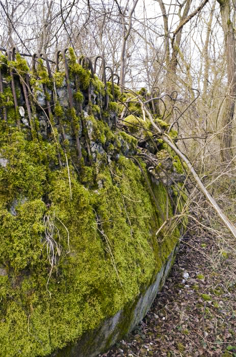 Ligne Maginot - G39 - RUMERSHEIM LE HAUT BERGE 3 - (Blockhaus pour arme infanterie) - Façade coté berge