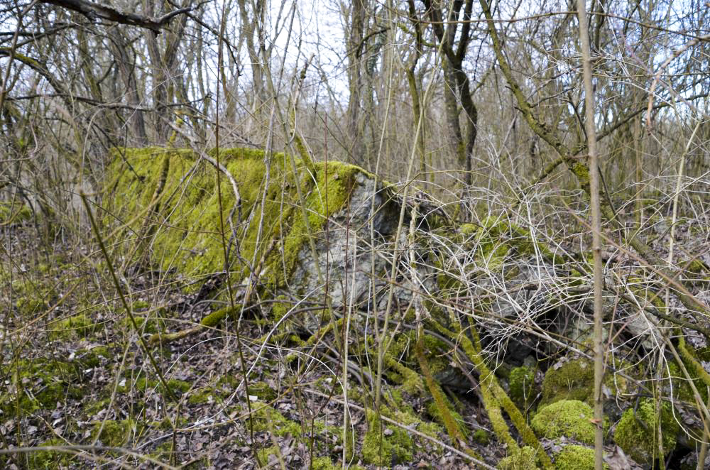 Ligne Maginot - G39 - RUMERSHEIM LE HAUT BERGE 3 - (Blockhaus pour arme infanterie) - Retranchement arrière pour les hommes de troupes
