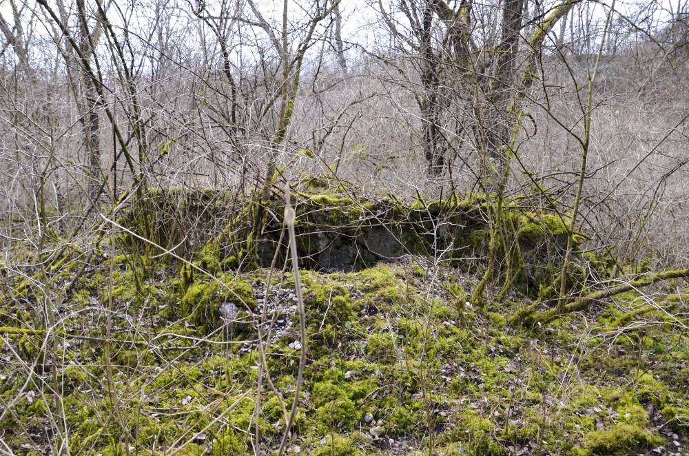 Ligne Maginot - G39 - RUMERSHEIM LE HAUT BERGE 3 - (Blockhaus pour arme infanterie) - Retranchement arrière pour les hommes de troupes