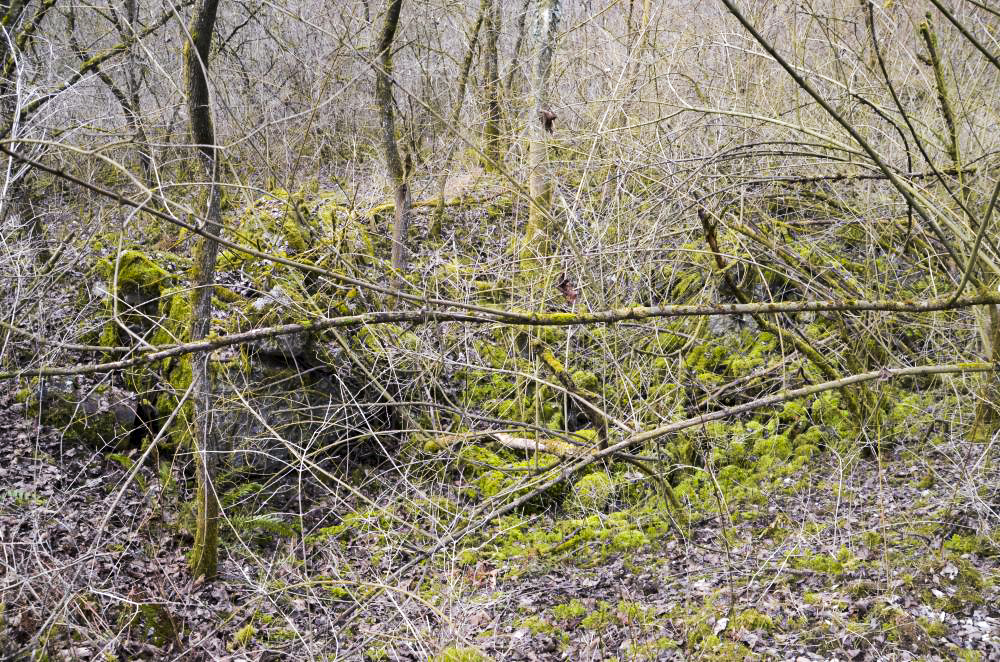 Ligne Maginot - G39 - RUMERSHEIM LE HAUT BERGE 3 - (Blockhaus pour arme infanterie) - Retranchement arrière pour les hommes de troupes